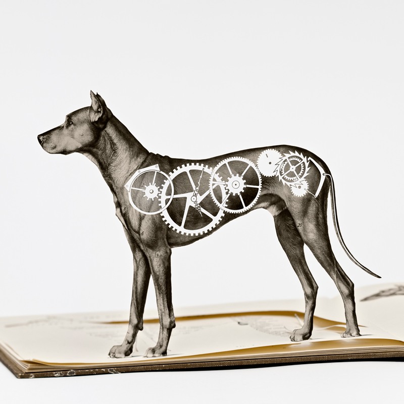 Illustration for article titled Beautiful 3D book art brings The Phantom Tollbooth and Stuart Little to life